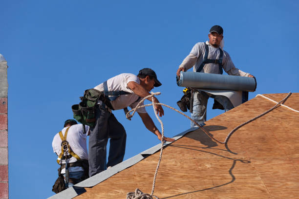 Best Gutter Installation and Roofing  in Dunlap, IL